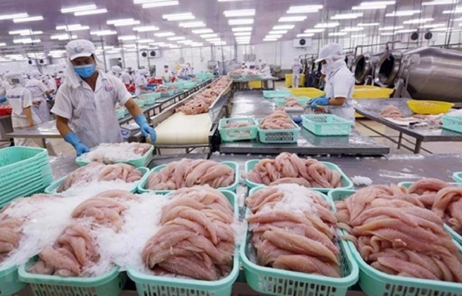 Doanh nghiệp xuất khẩu nông sản chọn Trung Quốc làm “vùng tránh bão”